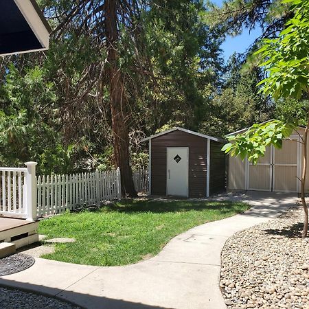-Serendipity Lodge At Yosemite- Bbq-Full Kitchen-King Bed Oakhurst Eksteriør billede